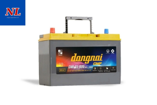 binh dong nai gia bao nhieu 2